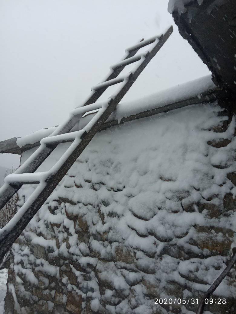 Снег в Карпатах