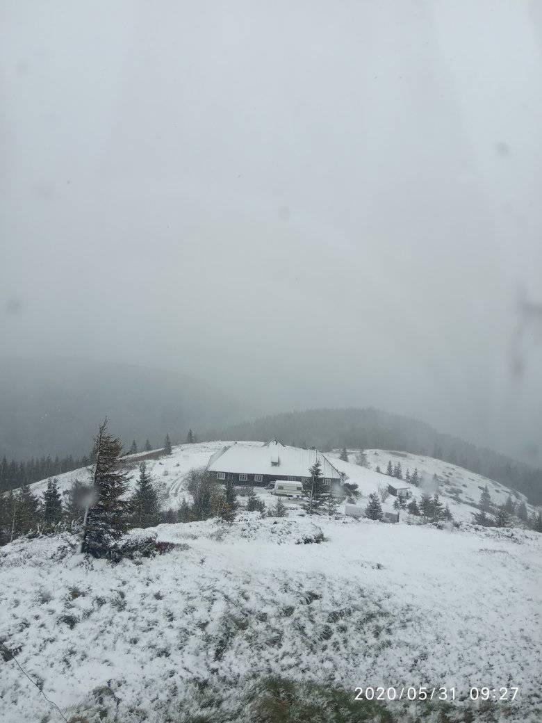 Снег в Карпатах