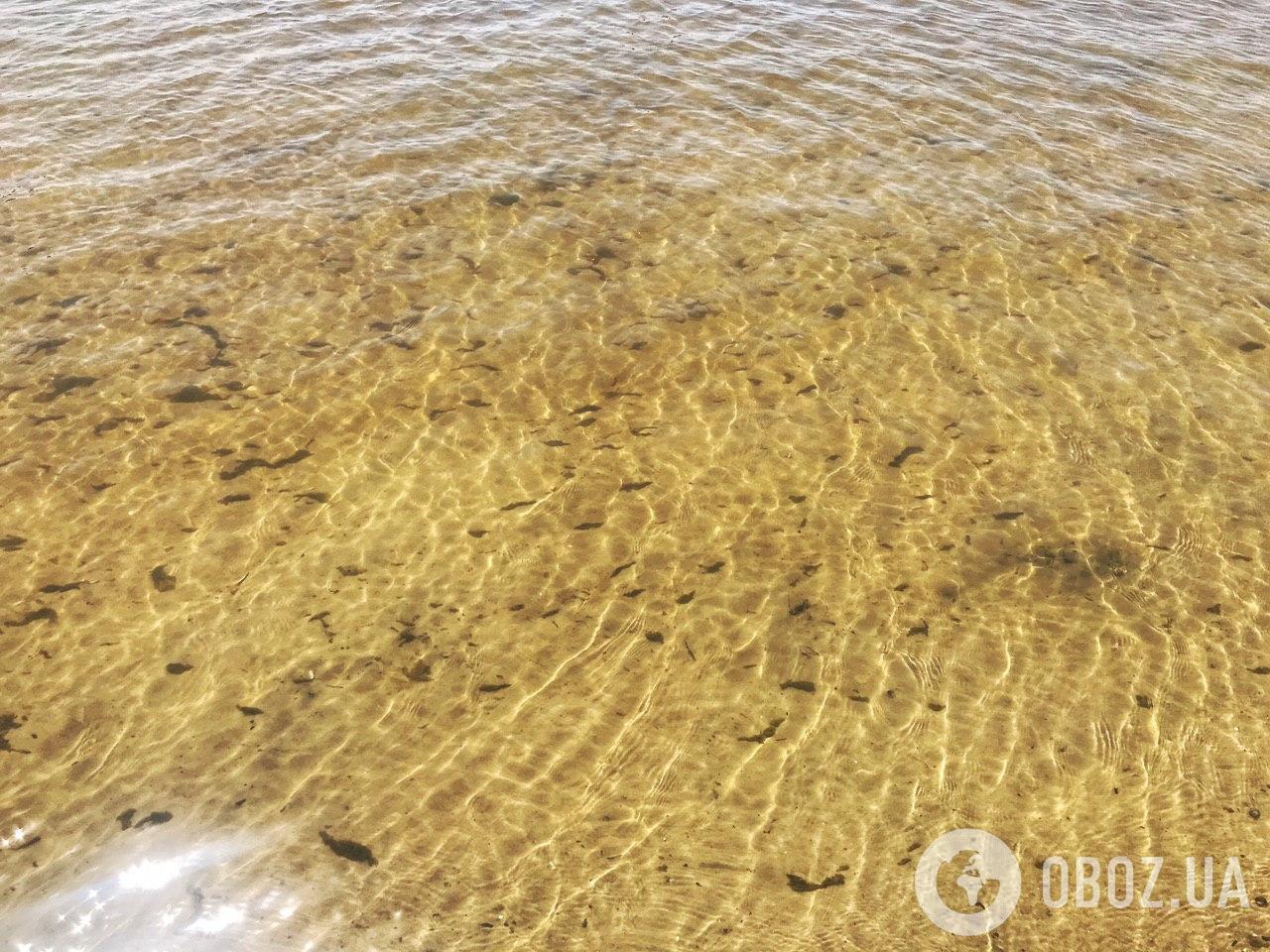 Вода на пляжах Днепра чистая и прозрачная