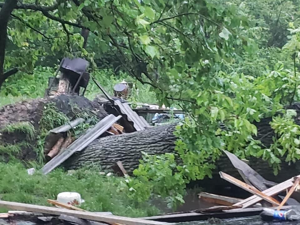 У Львові через дерево, що впало на будинок, загинула жінка