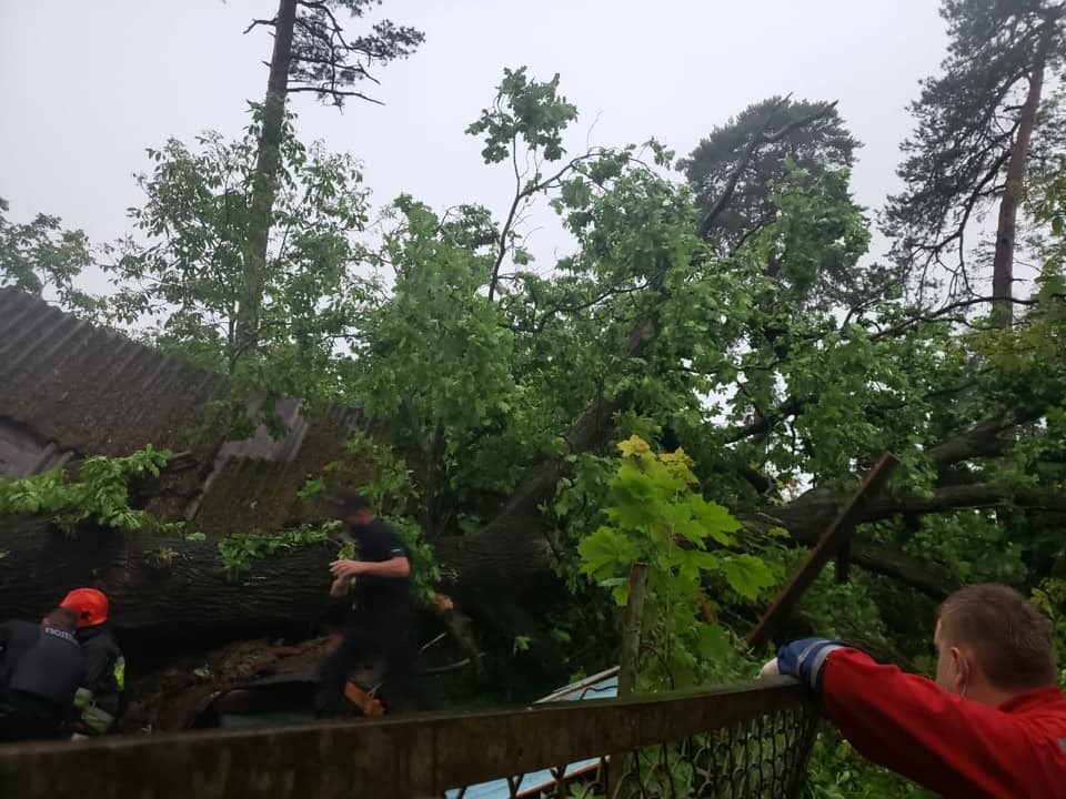 У Львові через дерево, що впало на будинок, загинула жінка
