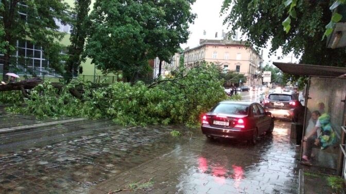 Во Львове мощный ураган повалил десятки деревьев