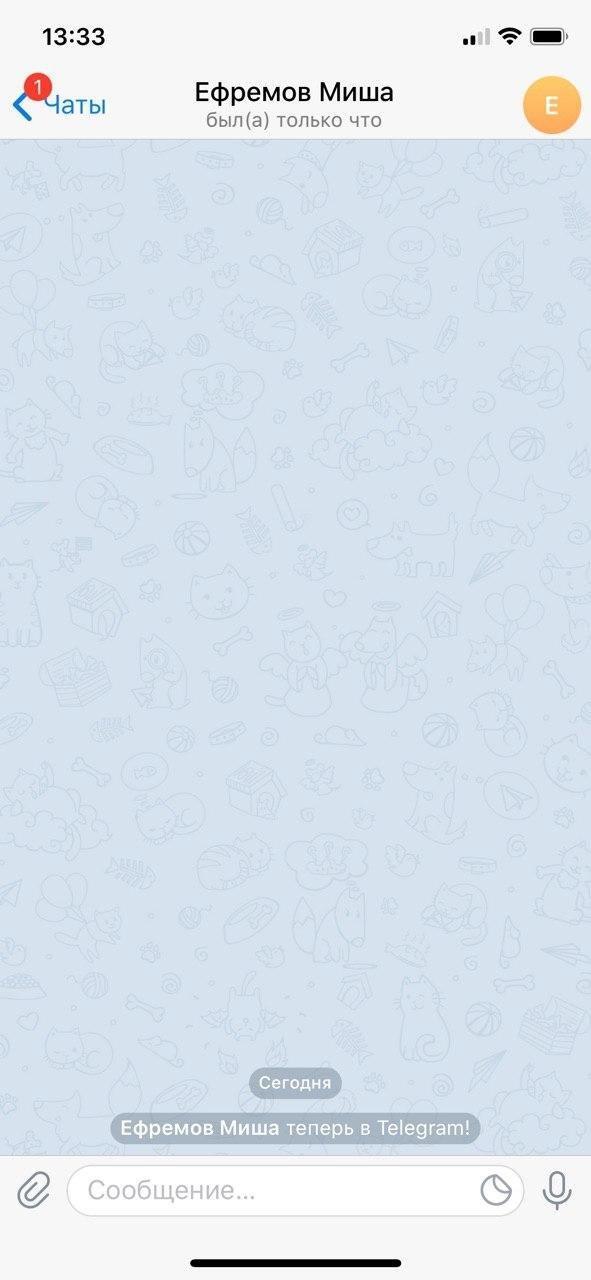 Сим-карту Ефремова использовали для входа в Telegram