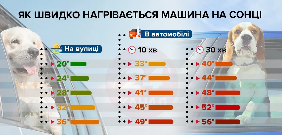 Как быстро нагревается авто на жаре: точный расчет