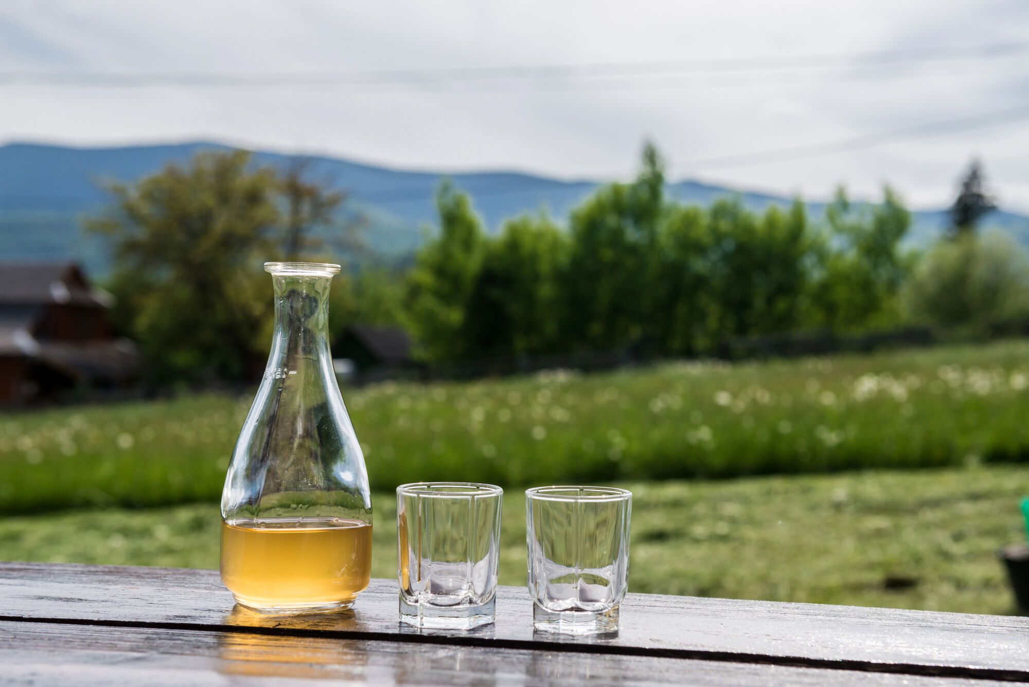 Медовуха – традиционный напиток украинцев