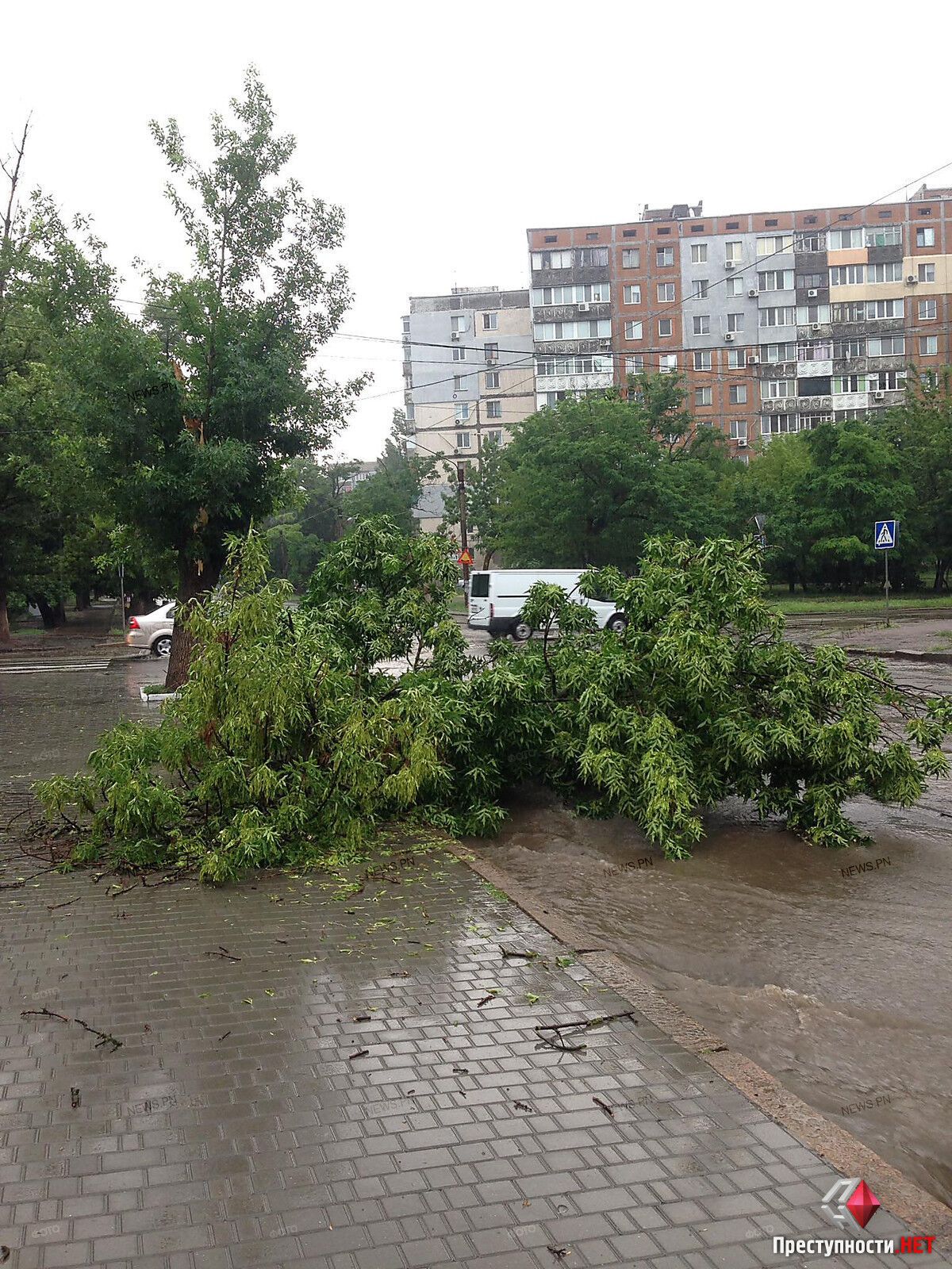 В Николаеве ливнем затопило центр города