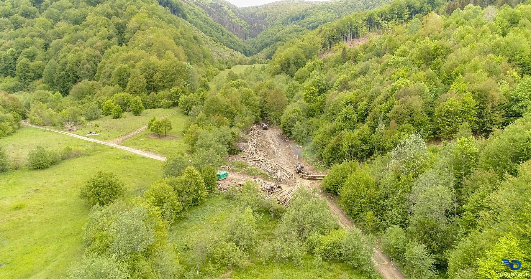 Масштабы вырубки в Карпатских горах