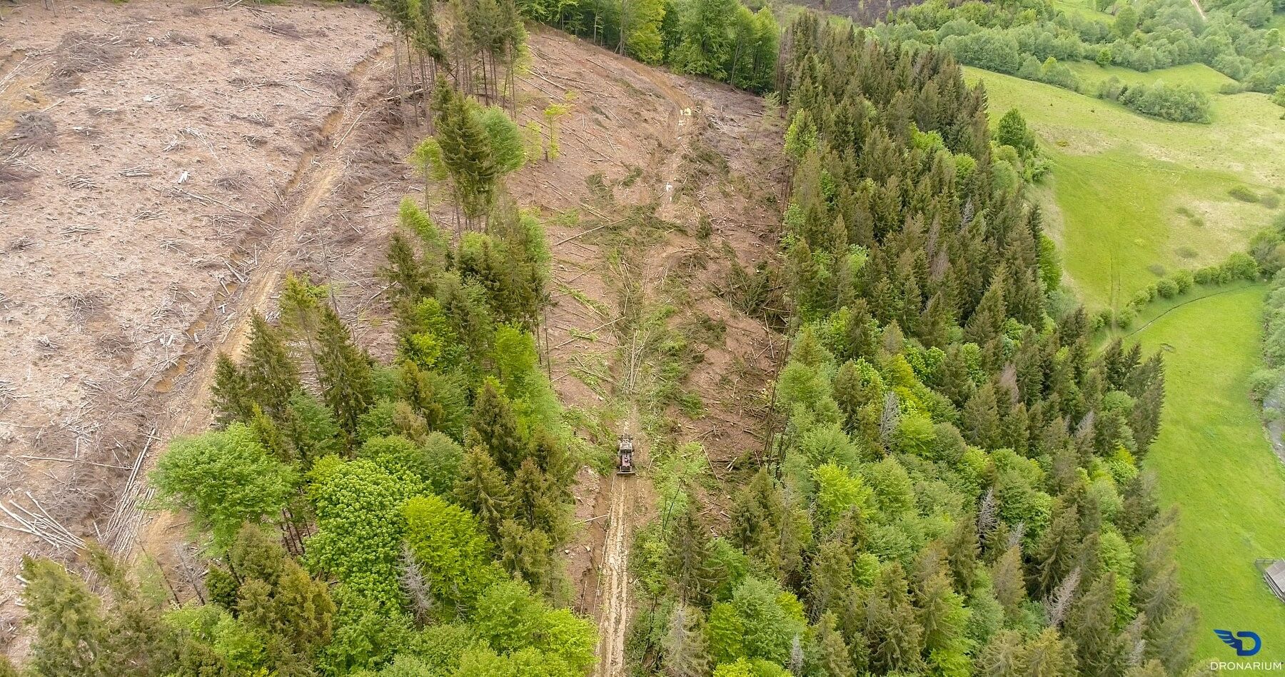 Українські Карпати