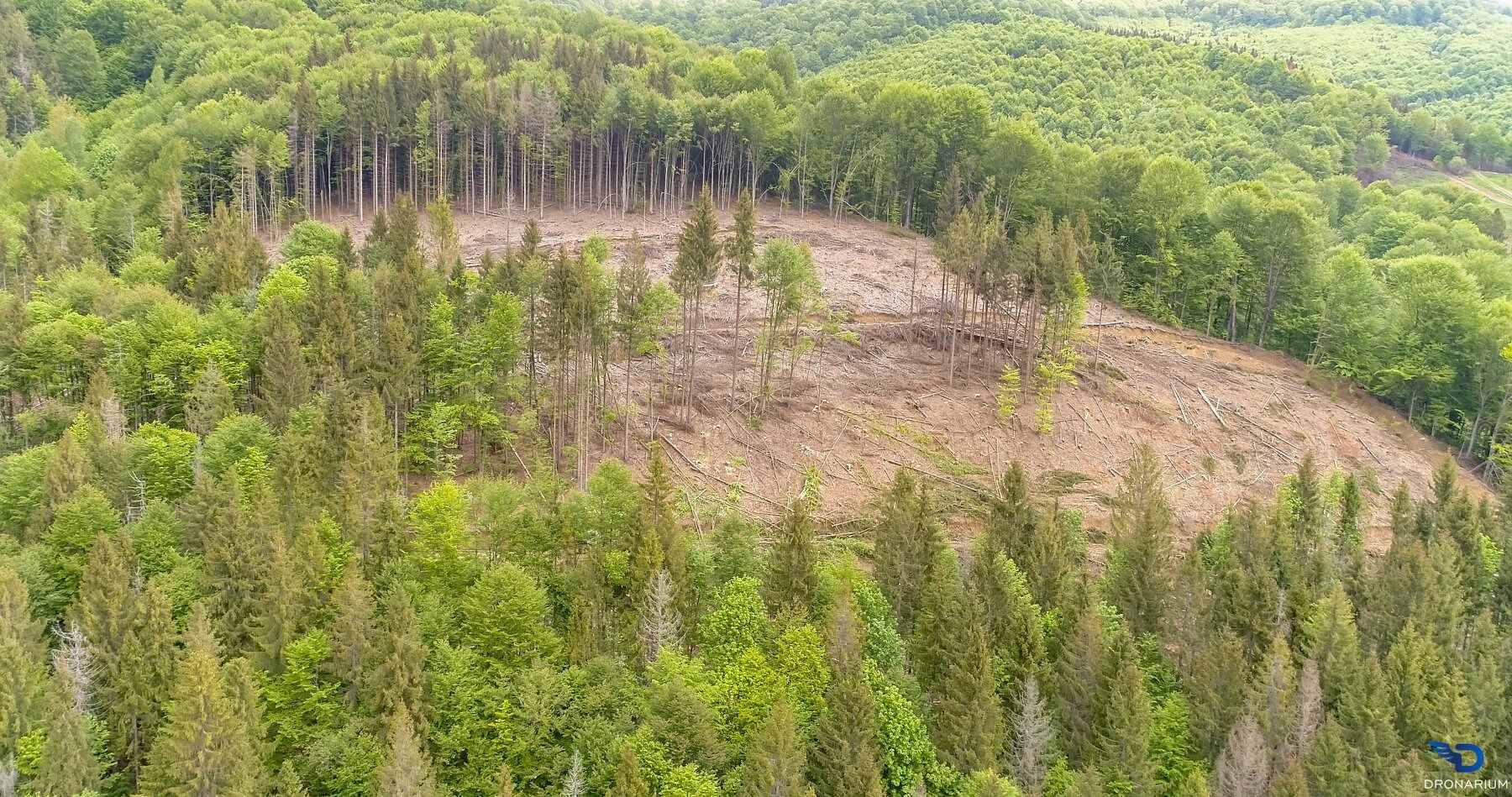 В горах образовались огромные просеки