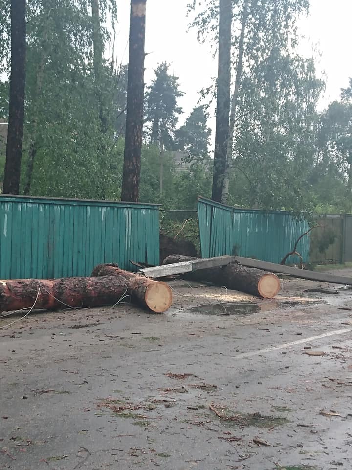 В Киевской области пронесся мощный ураган