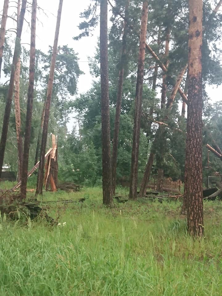 В Киевской области пронесся мощный ураган