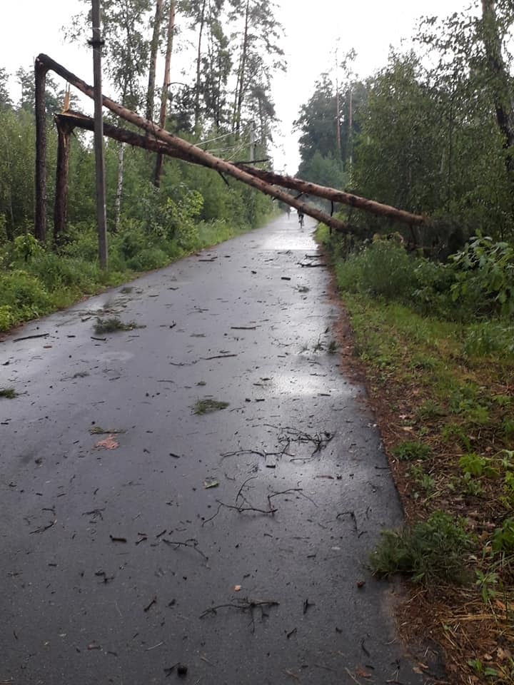 В Киевской области пронесся мощный ураган