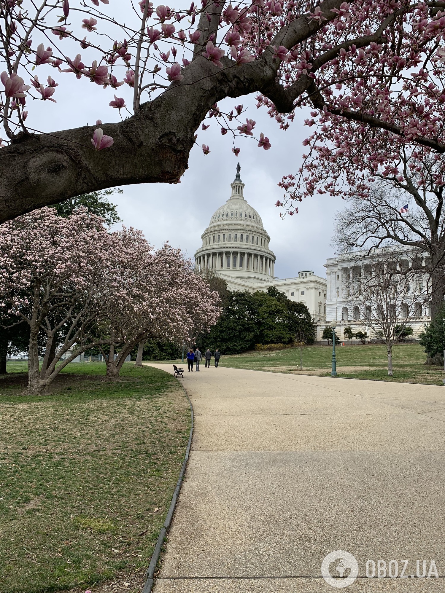 Столица мира: что посмотреть в Вашингтоне