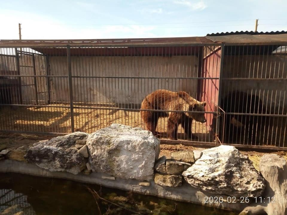 Конфіскованих тварин тепер будуть віддавати в притулки і зоопарки