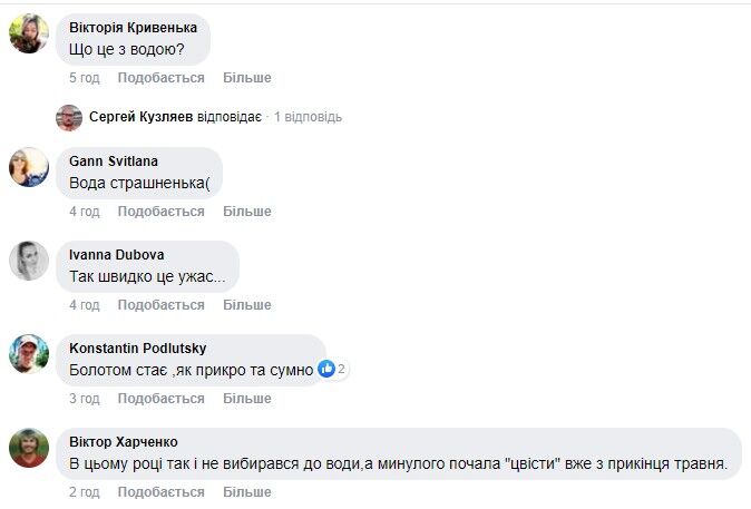 Пользователей ужаснул снимок