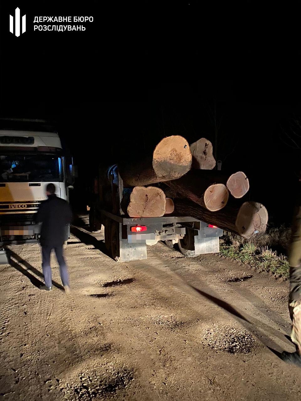 На западе Украины раскрылась большая незаконная вырубка леса