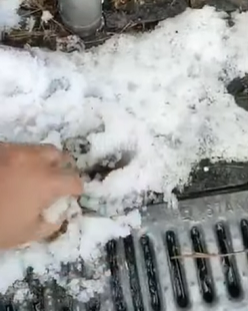 Снег на Киевщине