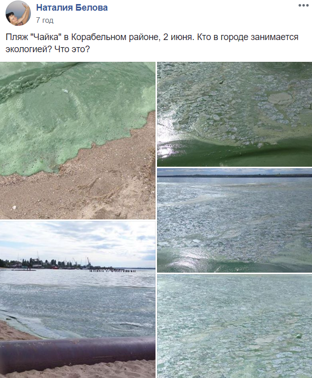 В Николаеве "позеленела" вода на пляже