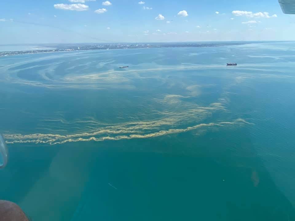 В Одесі позеленіло море: екологи застерегли від купання. Фото і відео