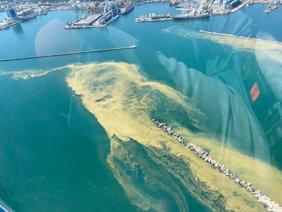 В Одесі позеленіло море: екологи застерегли від купання. Фото і відео