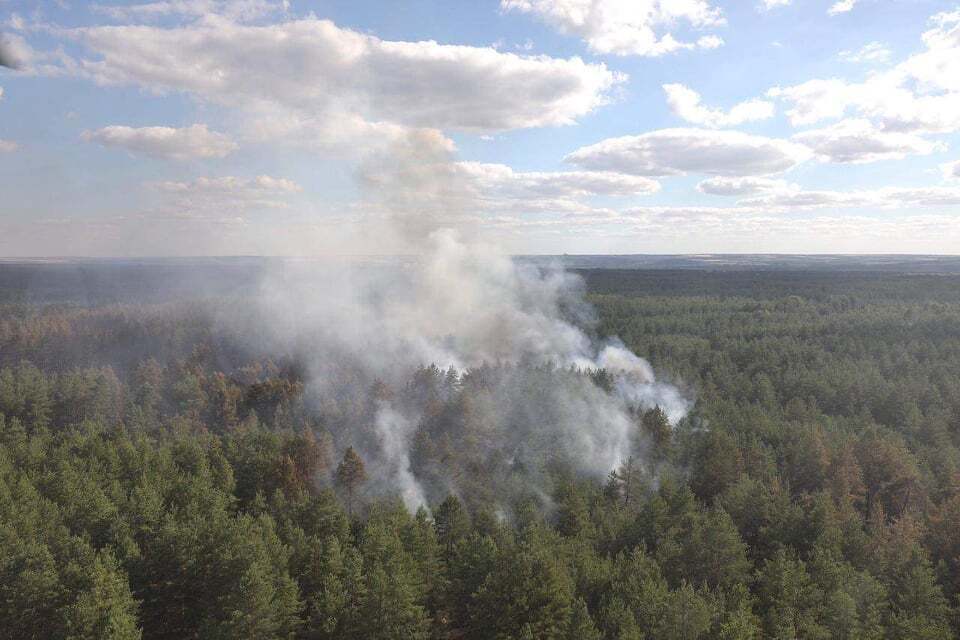 Пожар на Луганщине