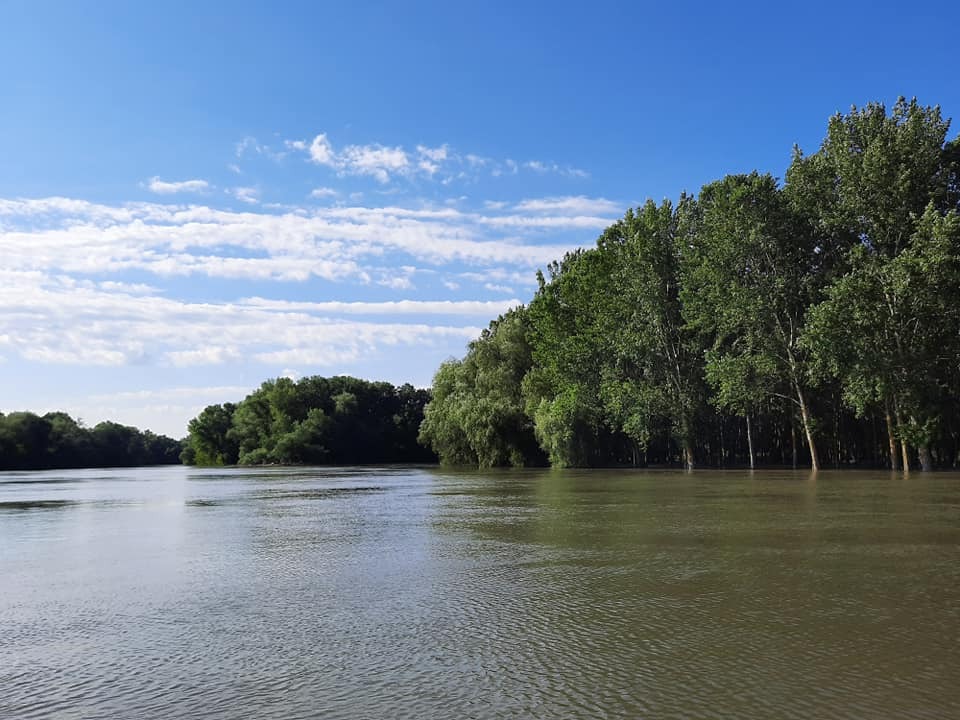 Рівень річок Дністер та Турунчук піднявся на 5-10 см.