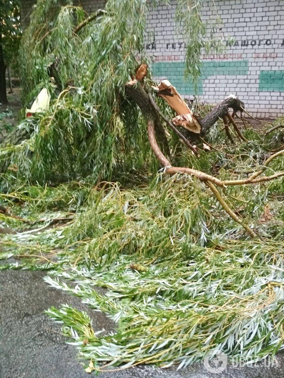 Киев накрыло мощным ураганом с грозой