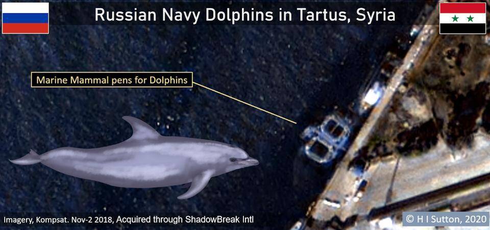 Супутникові знімки від 2 листопада 2018 року показують два загони морських дельфінів у сирійському Тартусі, вважає журналіст
