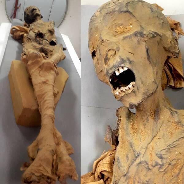 Кричащая мумия из Египта