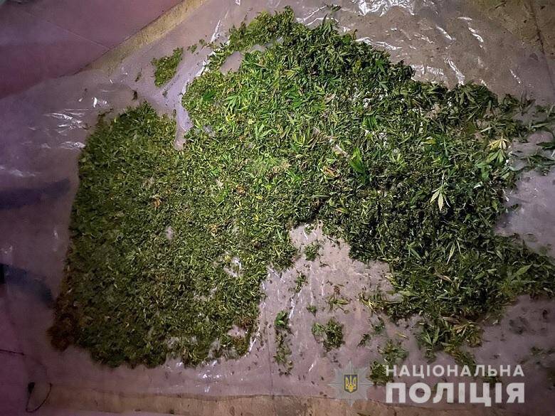 У Києві в чоловіка виявили наркотиків на 5 млн грн