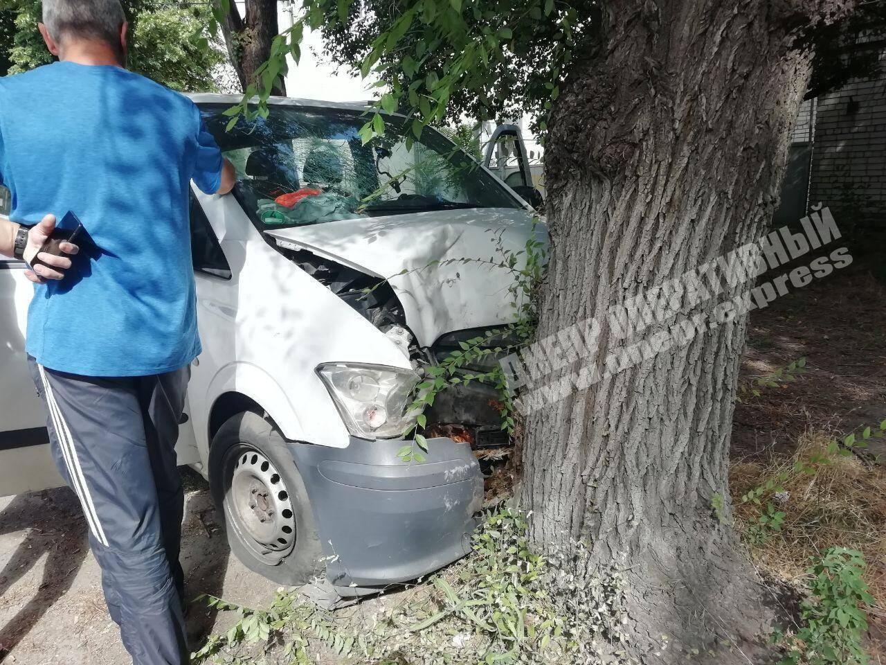 В Днепре микроавтобус влетел в дерево: пострадали шесть человек