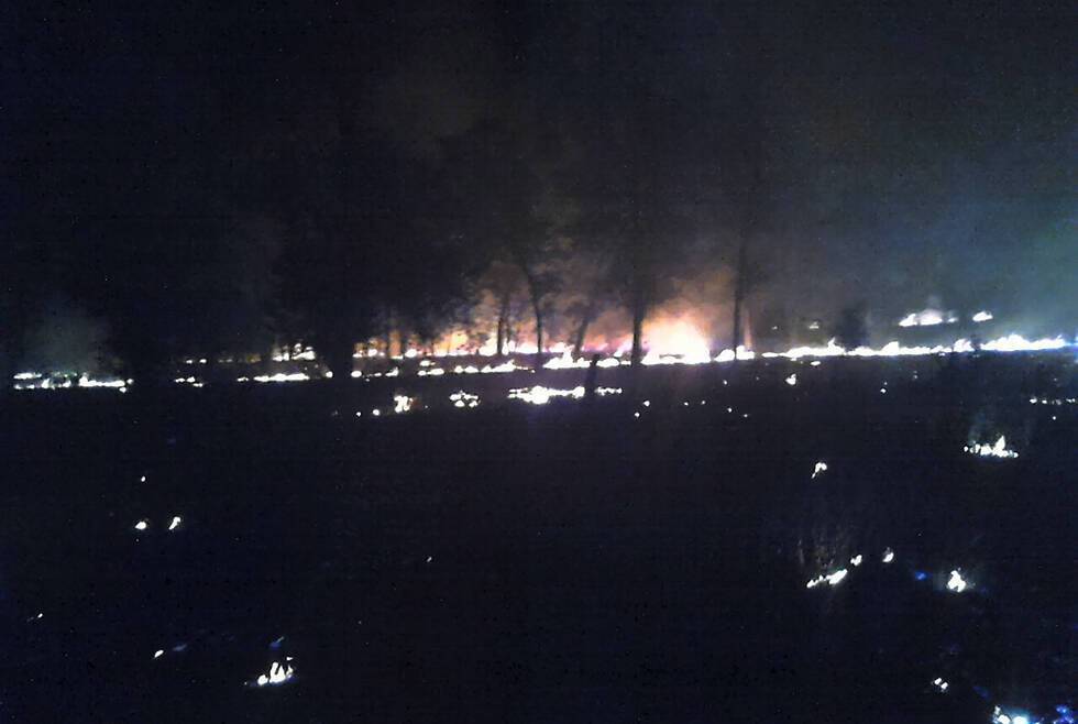 На Дніпропетровщині спалахнула масштабна лісова пожежа