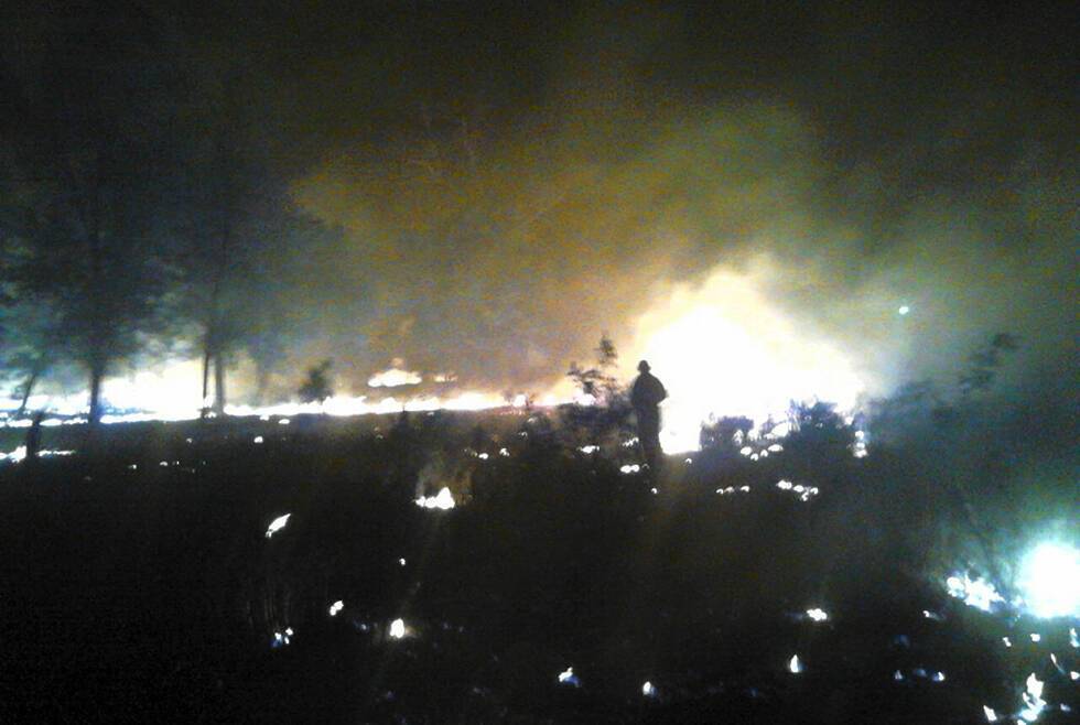 На Днепропетровщине вспыхнул масштабный лесной пожар