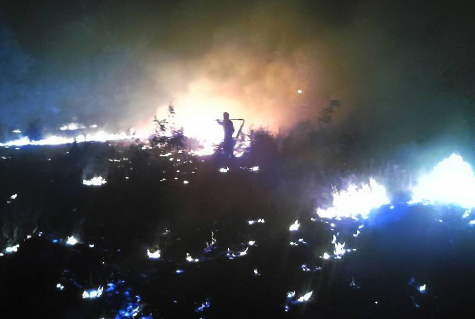 На Дніпропетровщині спалахнула масштабна лісова пожежа