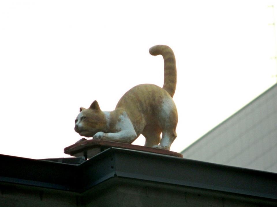 Скульптуры котов в центре Киева привели сеть в восторг