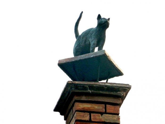 Скульптуры котов в центре Киева привели сеть в восторг
