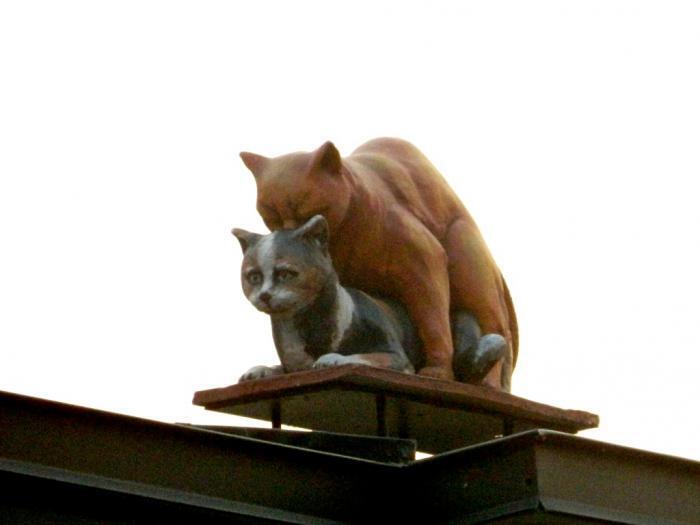 Скульптуры котов в центре Киева привели сеть в восторг