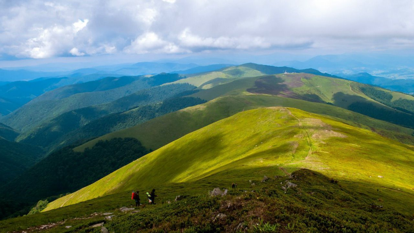 Полонина Боржава (фото – karpaty.life)