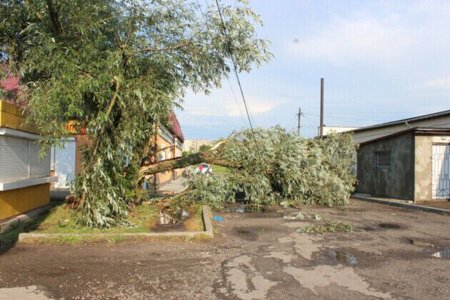 На Волыни пронесся мощный ураган: опубликованы фото последствий