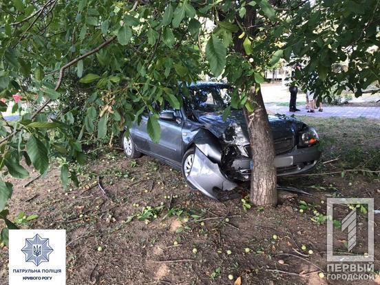 У Кривому Розі у водія за кермом стався напад: авто влетіло в дерево