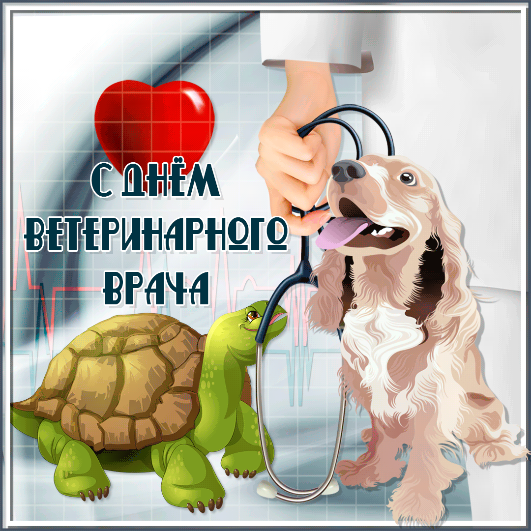 Анимационная открытка в День ветеринара