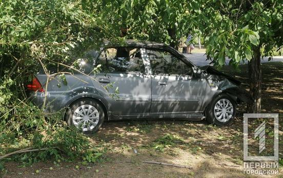 В Кривом Роге у водителя за рулем случился приступ: авто влетело в дерево