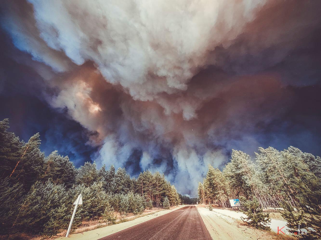 Возле Северодонецка горят десятки гектаров леса