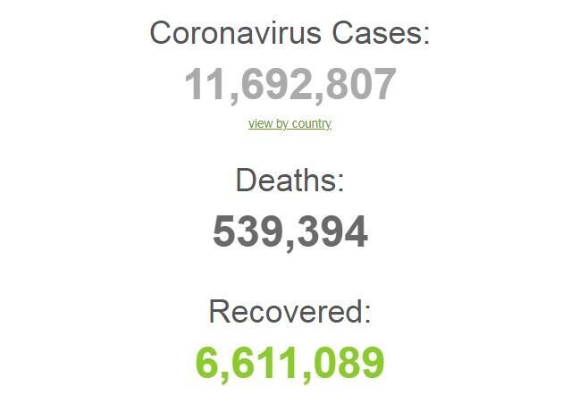 Коронавирусов в мире заразились более 11,6 млн человек
