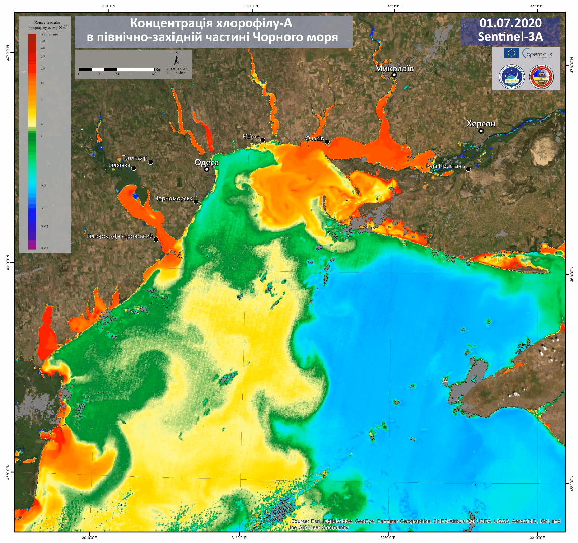 Цвітіння води в Чорному морі