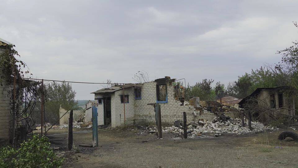 Лісова пожежа в Луганській області