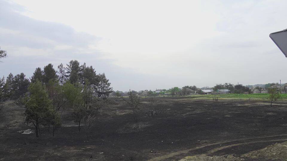 Лесной пожар в Луганской области