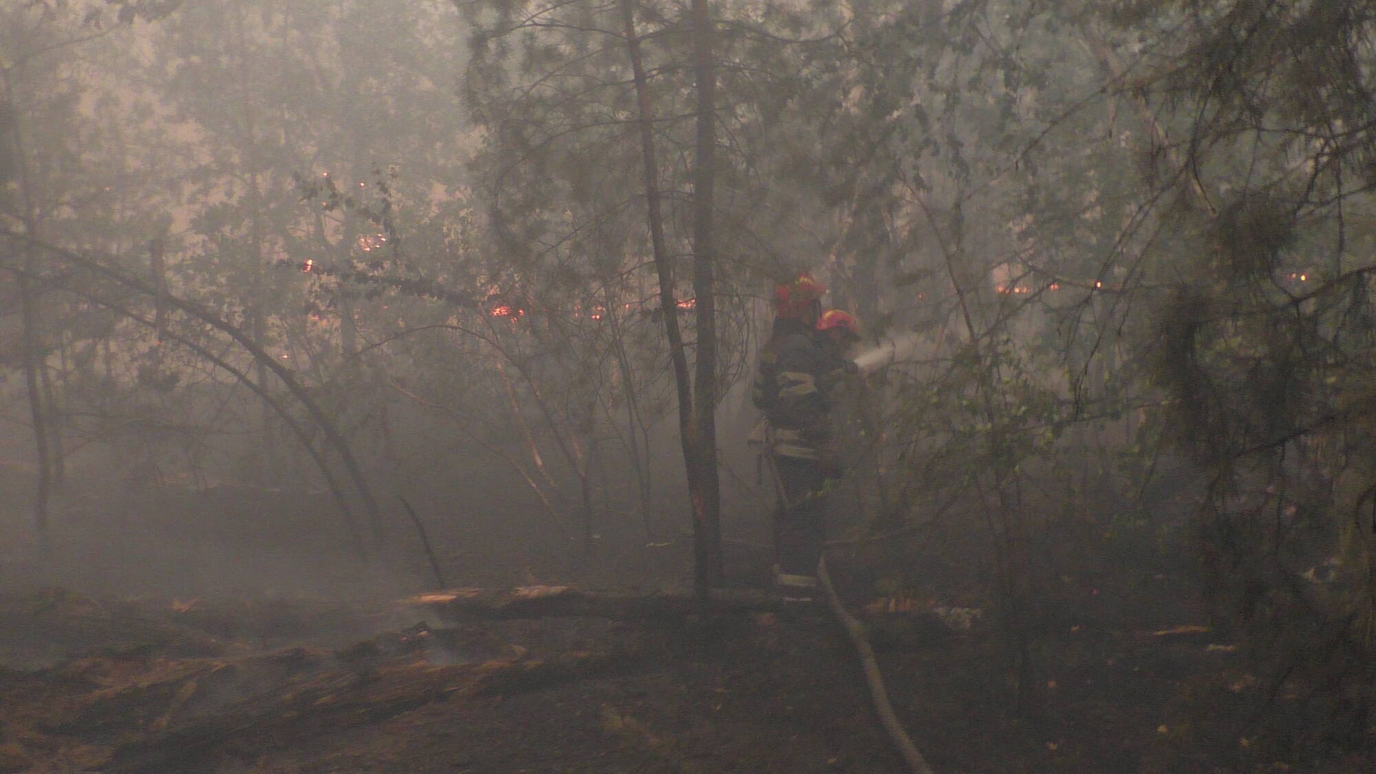 Рятувальники локалізували пожежі на Луганщині.