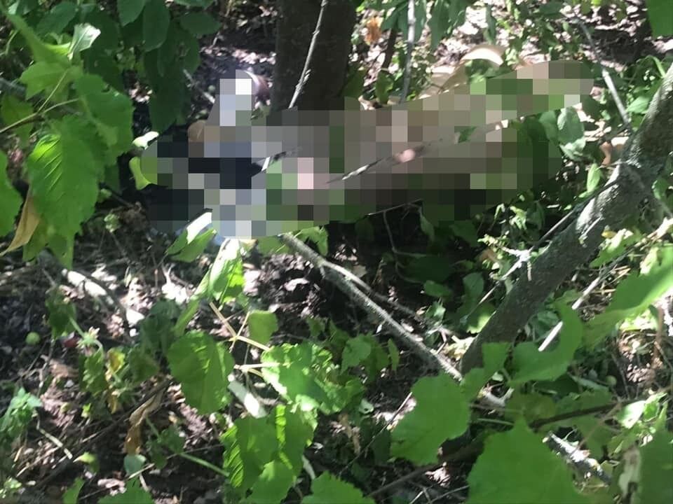 Тіло вбитої на Київщині Софії Недобой