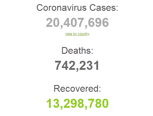 Коронавірусом заразилися понад 20,4 млн осіб у світі.